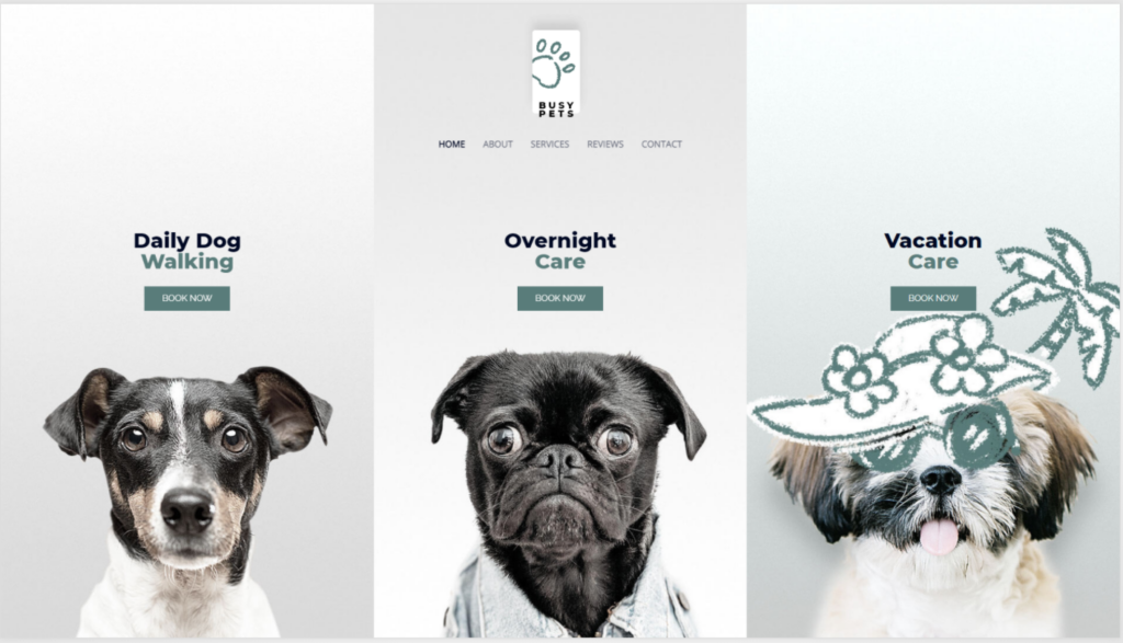 portfolio4